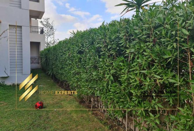 8280328 - Property Image 3