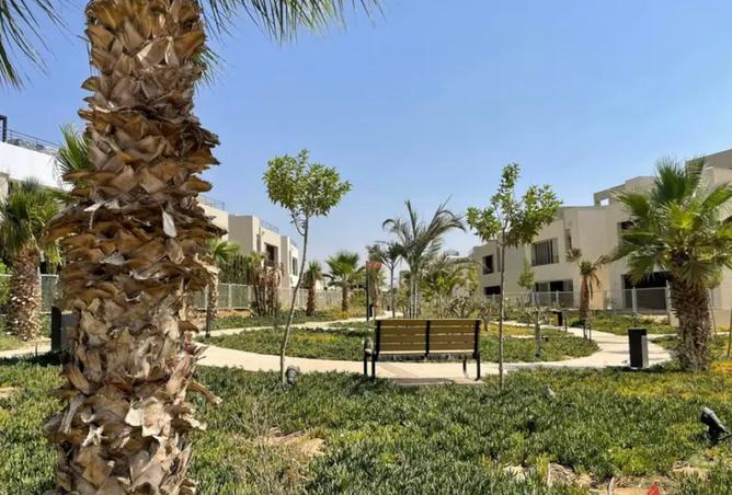 8173019 - صورة العقار 3