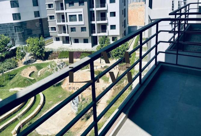 8197784 - Property Image 3