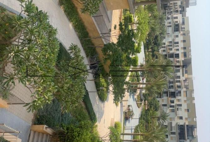 7885697 - صورة العقار 3