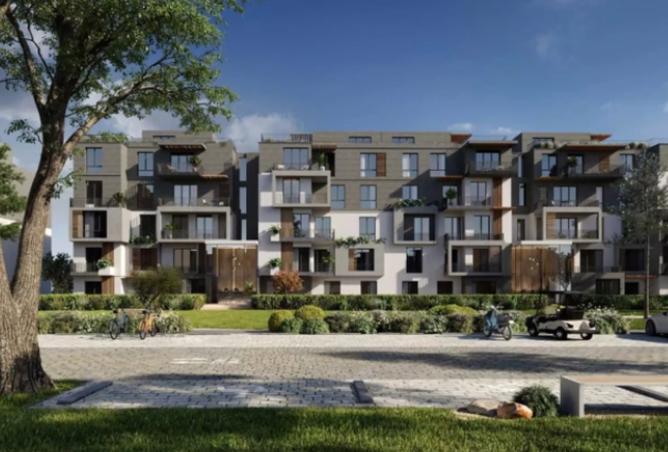 8087943 - Property Image 3
