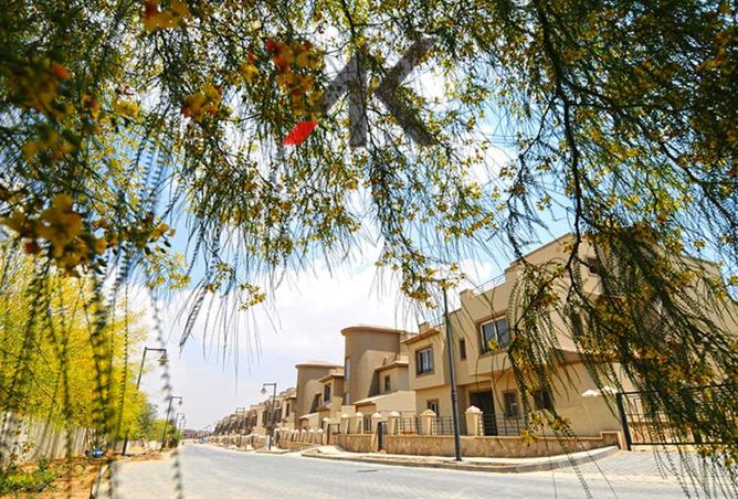 8397191 - Property Image 3