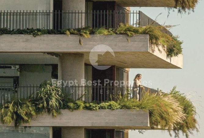 8228670 - Property Image 2