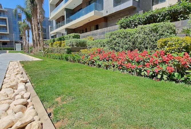 8286353 - Property Image 3