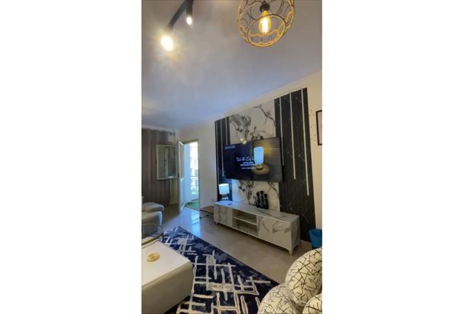 7911095 - Property Image 3