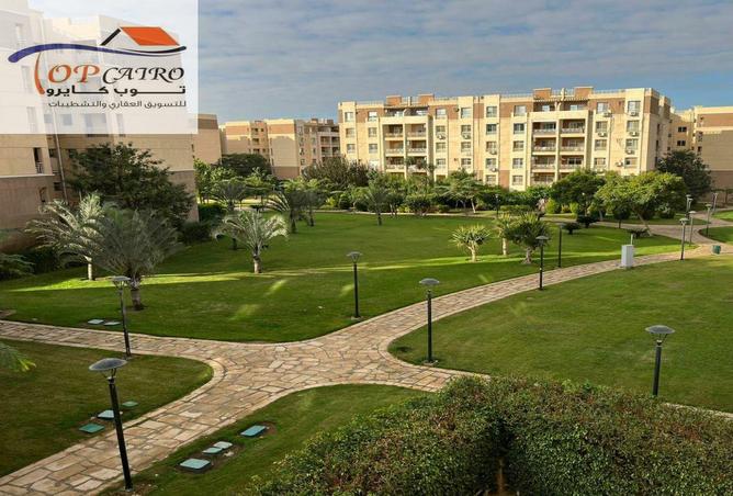 7985828 - الصورة الرئيسية للعقار