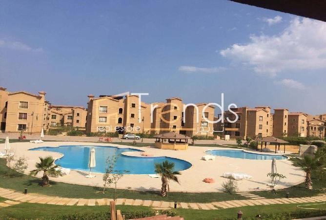 8155800 - Property Image 3