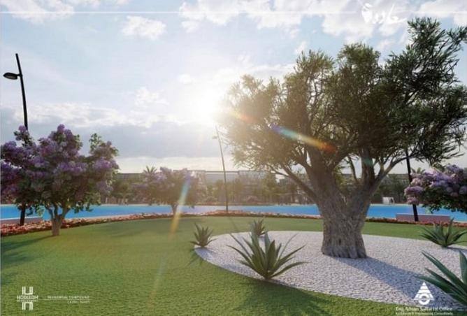 8172475 - Property Image 3