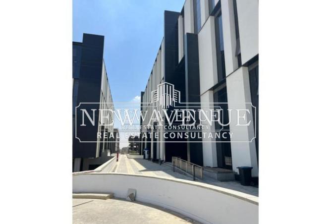 8386502 - Property Image 3