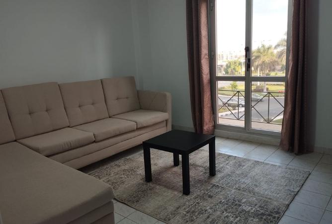 8049182 - الصورة الرئيسية للعقار