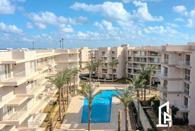 8233806 - Property Image 3