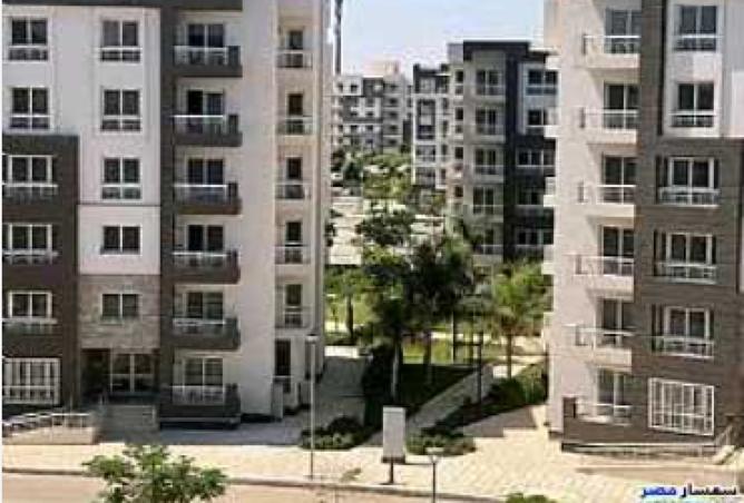 7954717 - صورة العقار 2