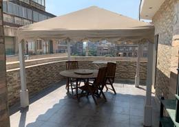 Flat with Amazing Terrace For Rent in Zamalek