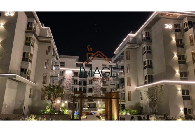 8381752 - Property Image 3