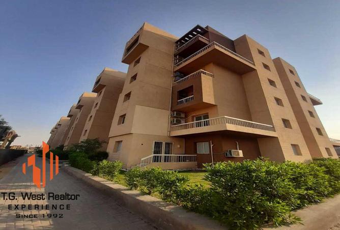 7956060 - صورة العقار 3