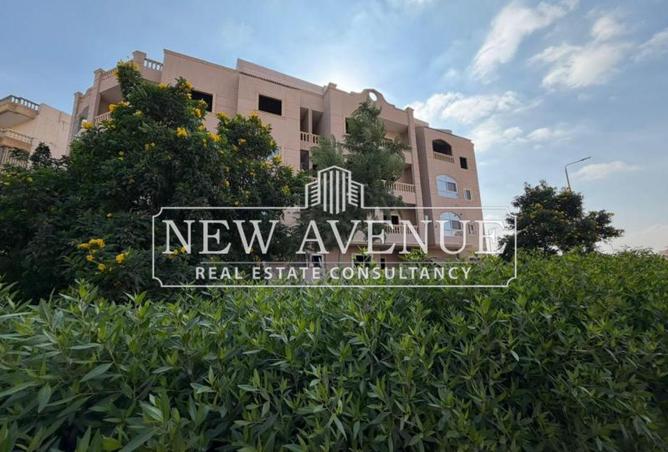 8338951 - Property Image 3