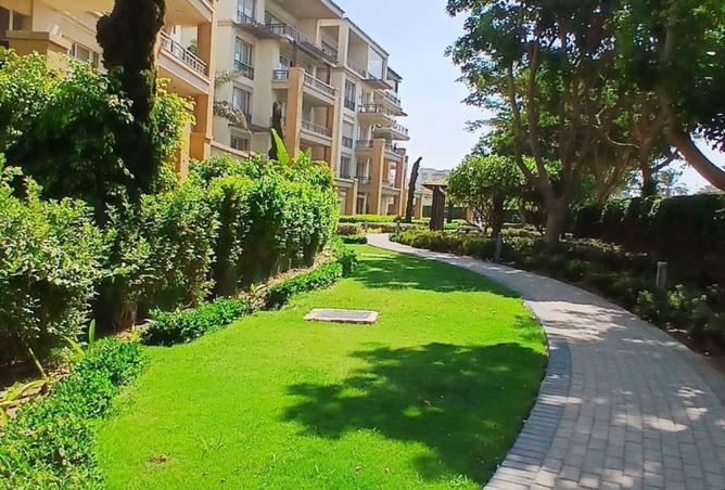 7972254 - صورة العقار 3