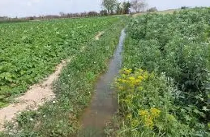 مزرعة - استوديو للبيع في طريق القاهرة برج العرب الصحراوى - برج العرب - مدينة برج العرب - الاسكندرية
