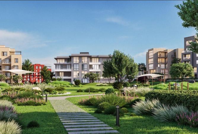 8281146 - Property Image 3