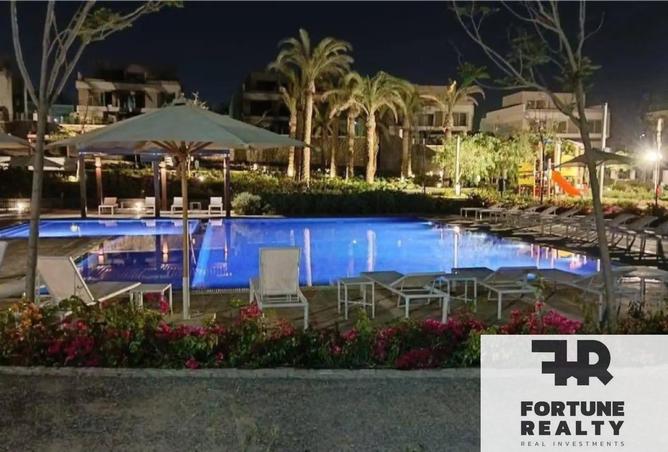 8384642 - Property Image 3