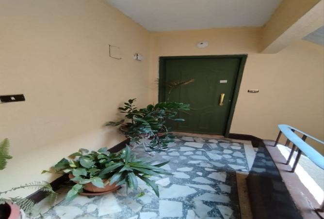 8177854 - صورة العقار 3