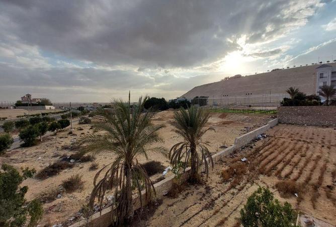 6987958 - صورة العقار 3
