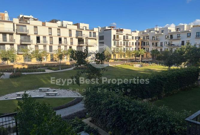 8216879 - Property Image 3