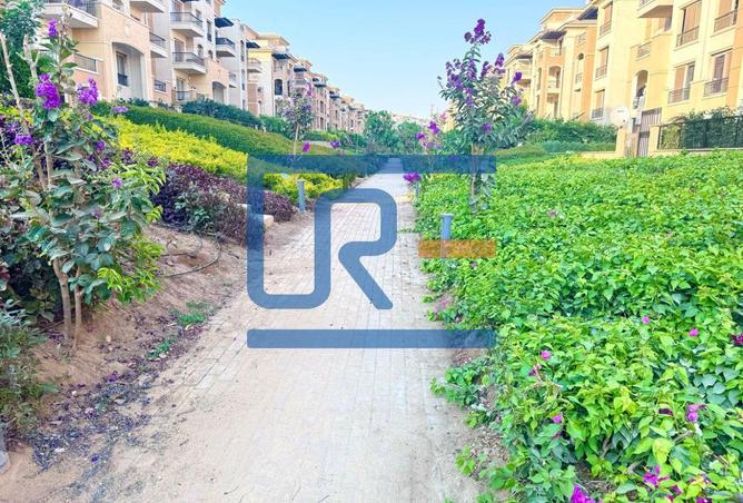 7912329 - صورة العقار 3