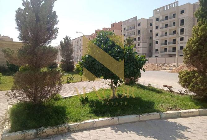 8127131 - Property Image 3