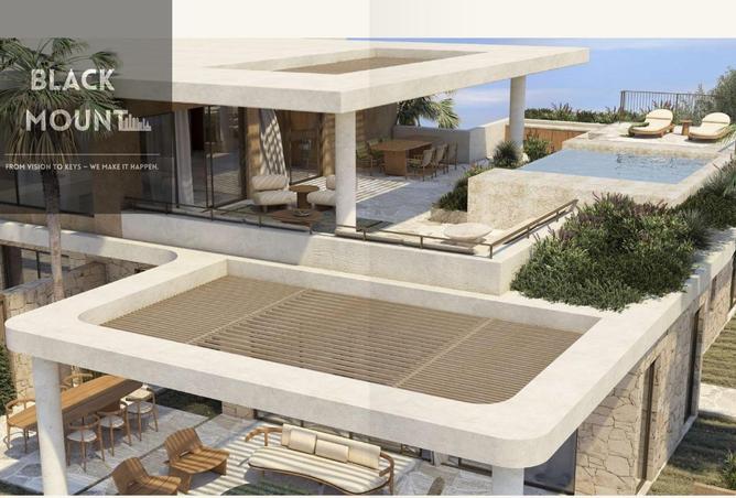 8130356 - Property Image 3