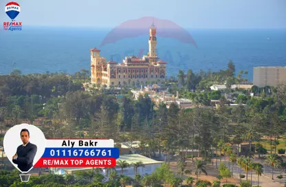 Duplex - 3 Bedrooms - 2 Bathrooms for sale in King Hefny Street - Asafra - Hay Than El Montazah - Alexandria