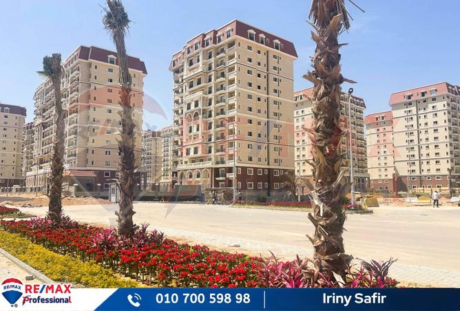8044419 - Property Image 3