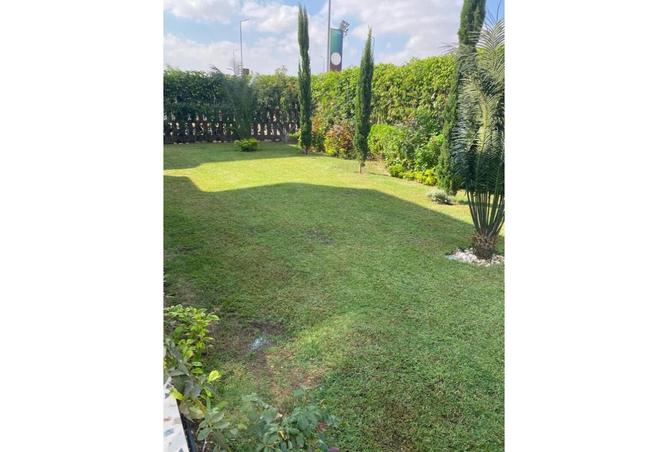 8430256 - Property Image 3