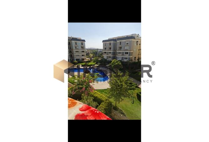 8354448 - Property Image 3