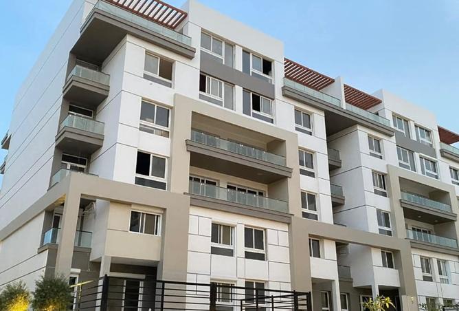 8224919 - Property Image 3