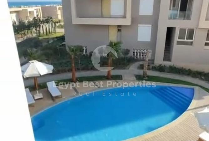 8434691 - Property Image 3