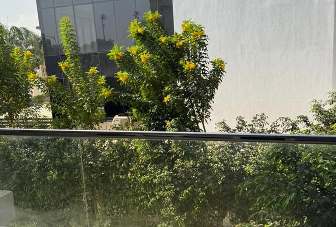 8337405 - Property Image 3