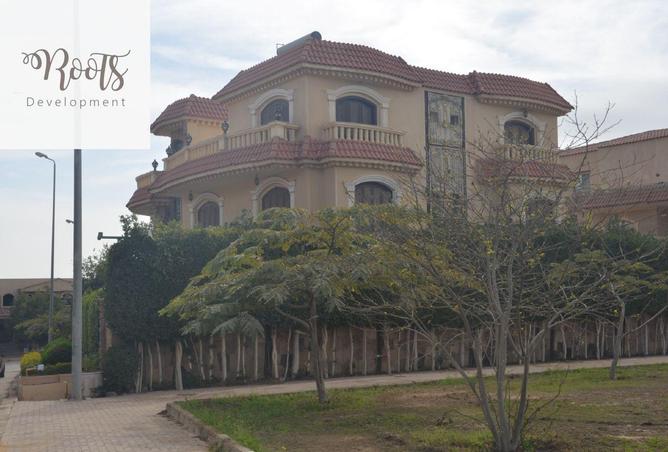 8448073 - Property Image 3