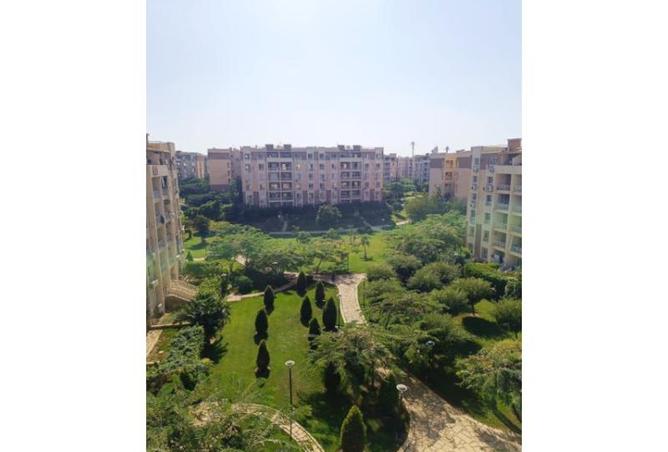 7953623 - الصورة الرئيسية للعقار
