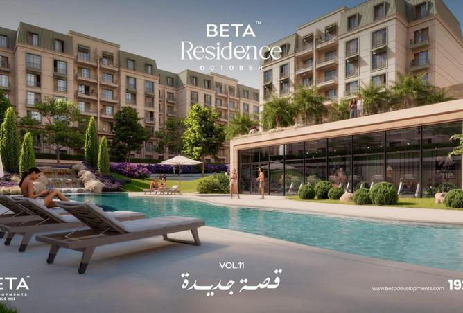 8556626 - Property Image 2