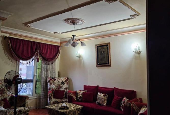 7907384 - Property Image 3