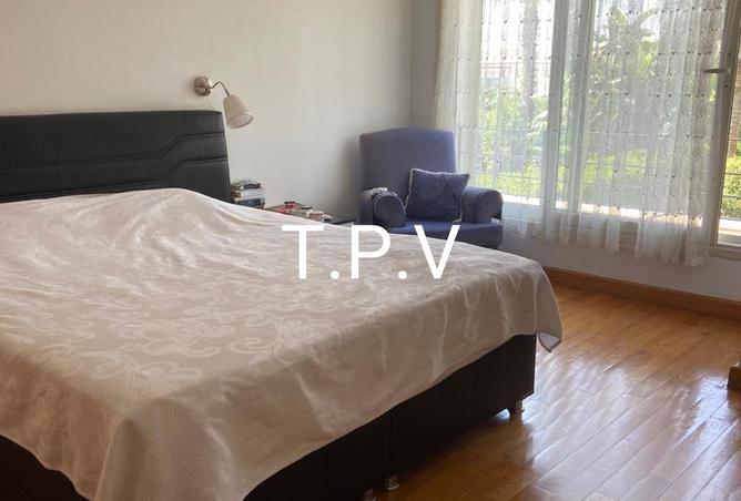 8281322 - Property Image 3