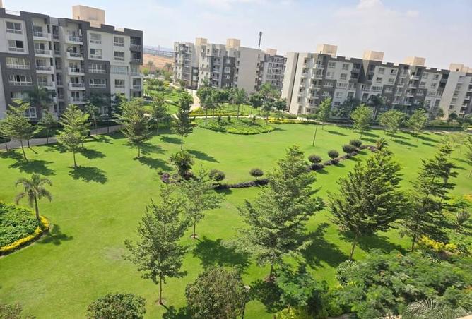 7994064 - صورة العقار 2