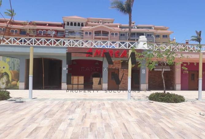 8206079 - Property Image 3