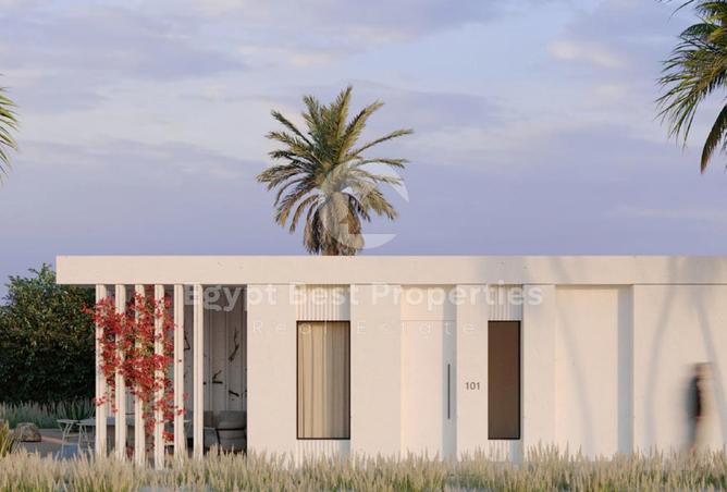 8456859 - Property Image 3