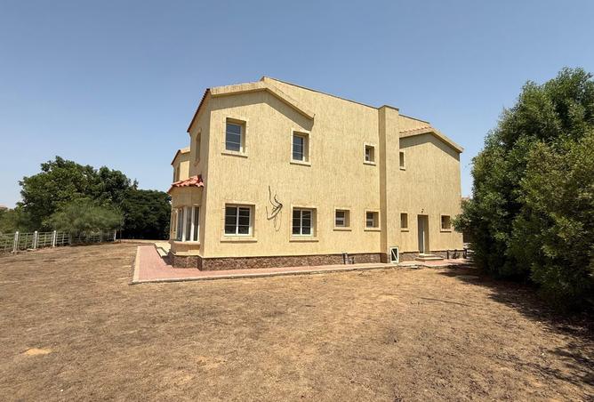 7917692 - صورة العقار 2