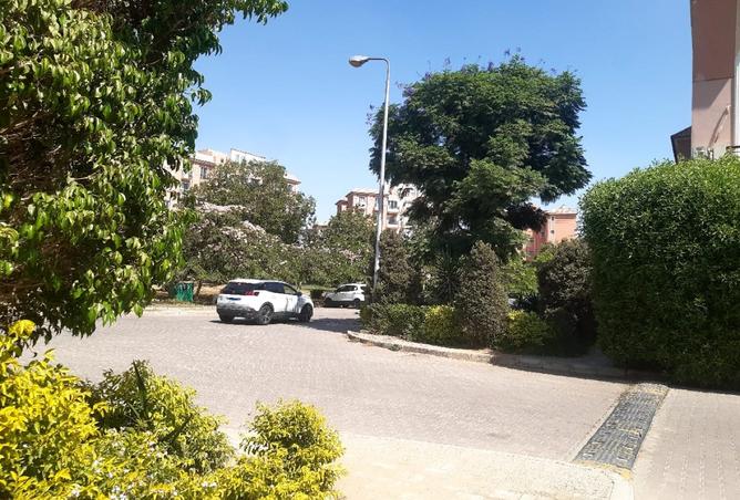 8236679 - Property Image 2