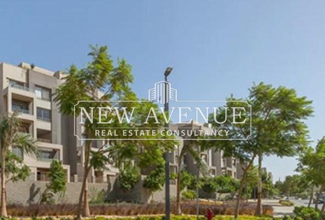 8154861 - Property Image 3