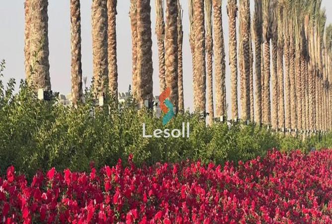 8287799 - صورة العقار 3