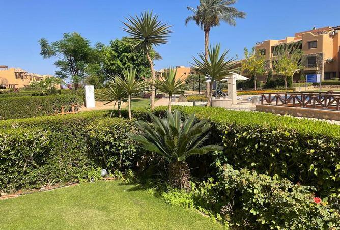 8029473 - صورة العقار 3